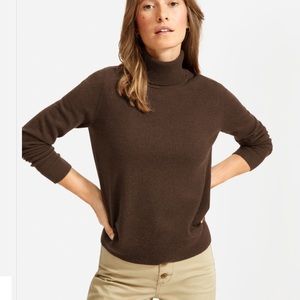 Everlane Cashmere Turtleneck XXS